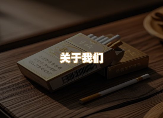 关于云歌烟网